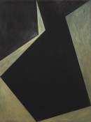 Saltus III, 2009, acrylic, pigments on canvas, 60 x 45_2009