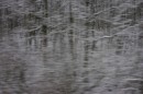 Fotografie, ´Reise durch die Eifel I`, 18.12.2010, digital fine print, 13,61 cm x 20,5 cm
