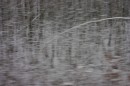 Fotografie, ´Reise durch die Eifel I`, 18.12.2010, digital fine print, 13,61 cm x 20,5 cm