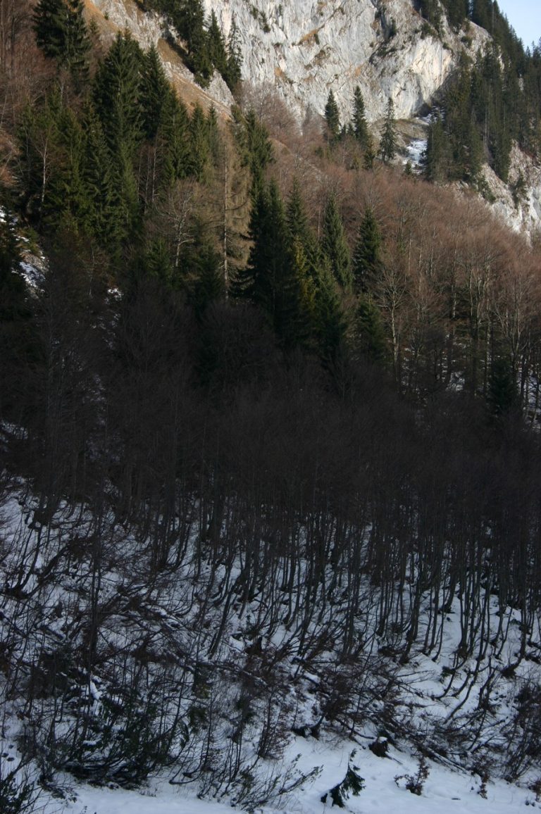 Fotografie, ´Berge I`, 30.12.2006, Engadin c- print, Kuenstlerin-Koeln