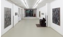 ´GLORIOLE AND OTHER PAINTINGS`, exibition view studio 14, 2013