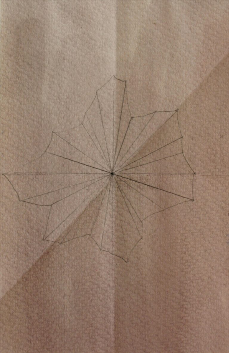 ´star`(melody of structures), 2011, portvine, pencil, on paper, Kuenstlerin-Koeln