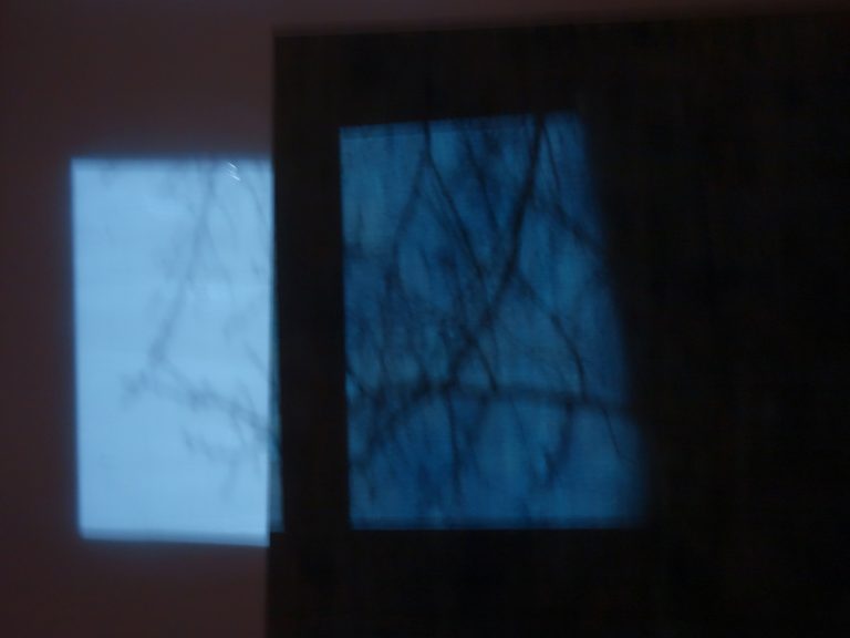 Fernlicht Weltinnenraum, Künstlerin-Köln